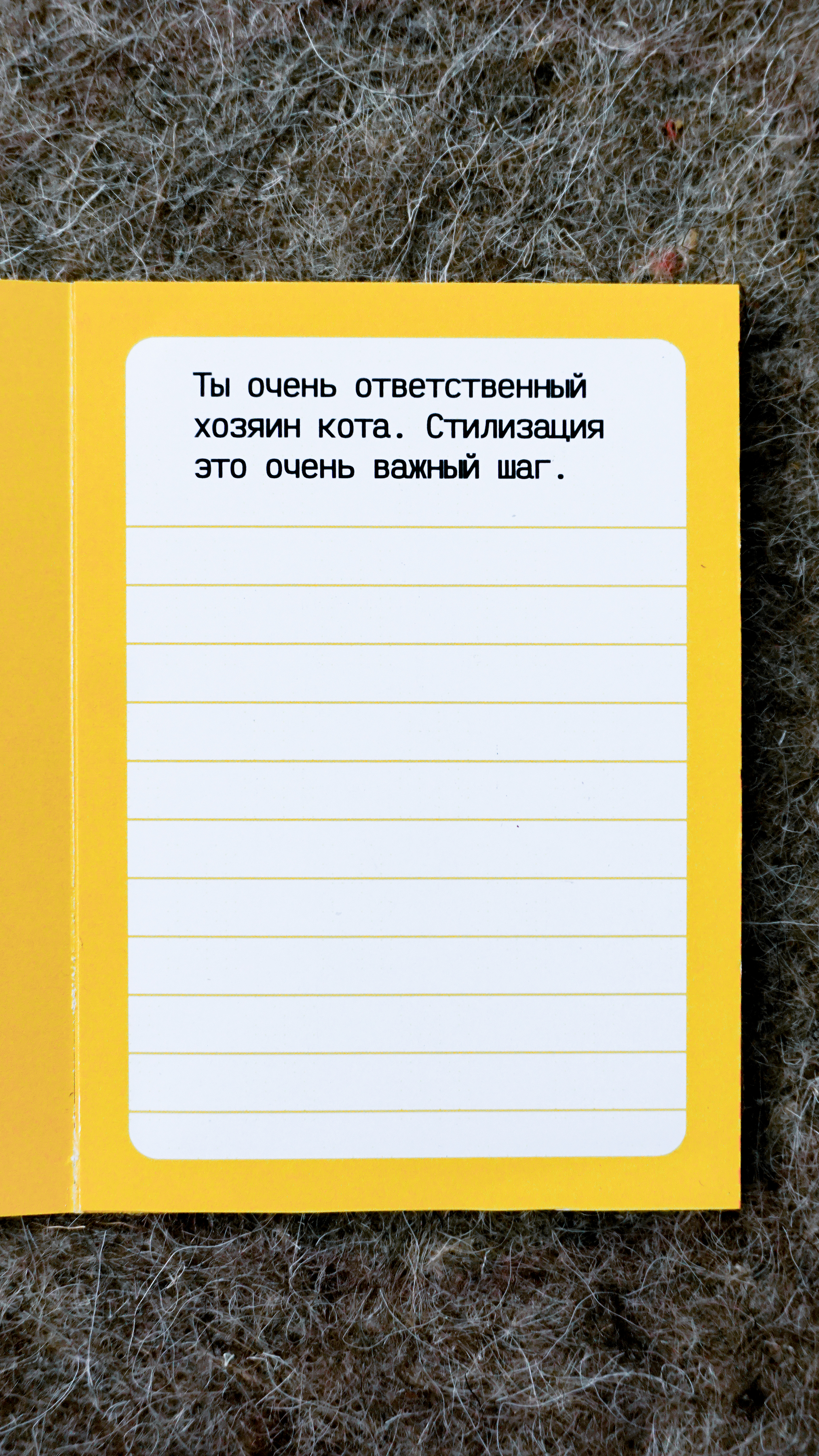 Стилизация кота