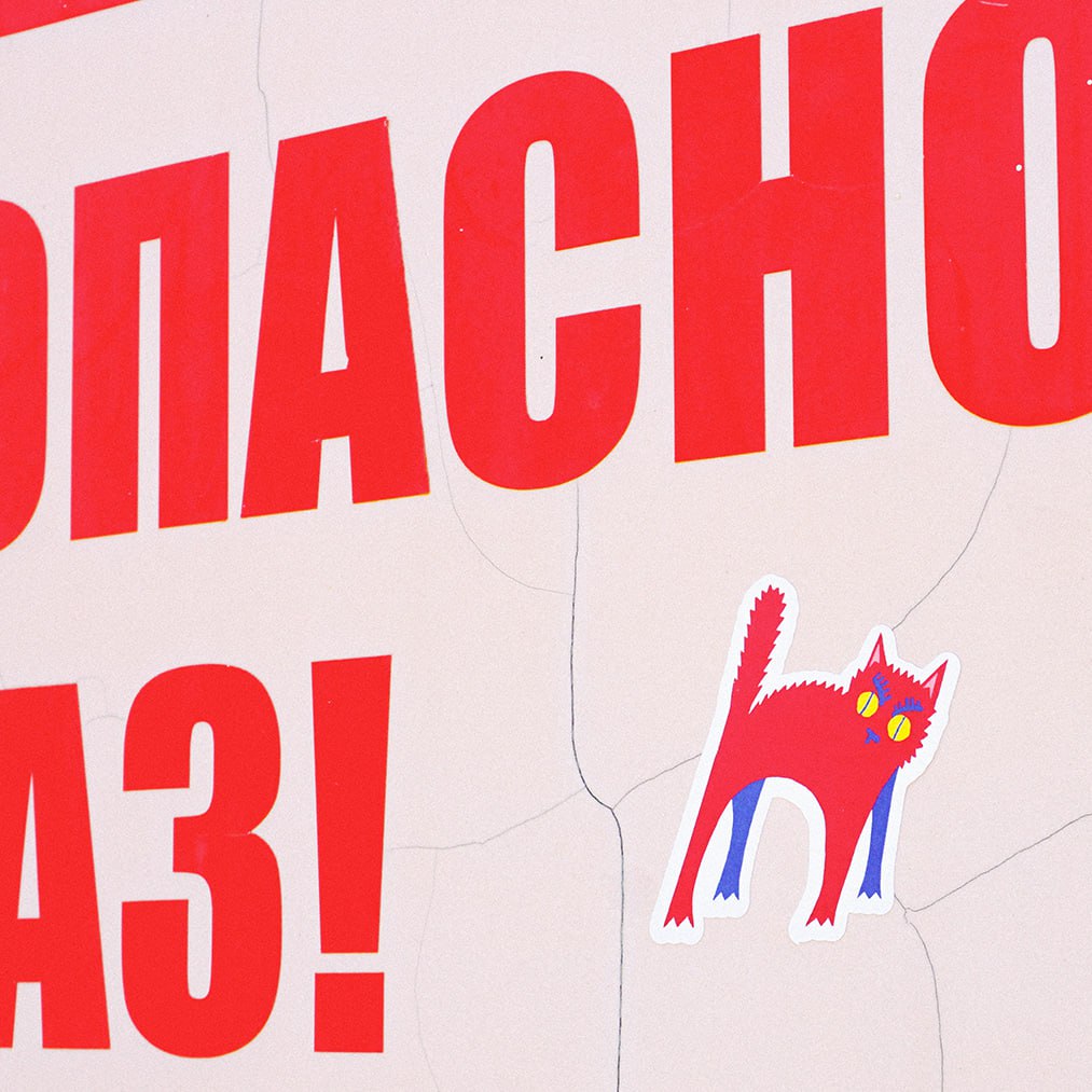Кот красный