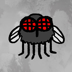 The fly that was born inside the window