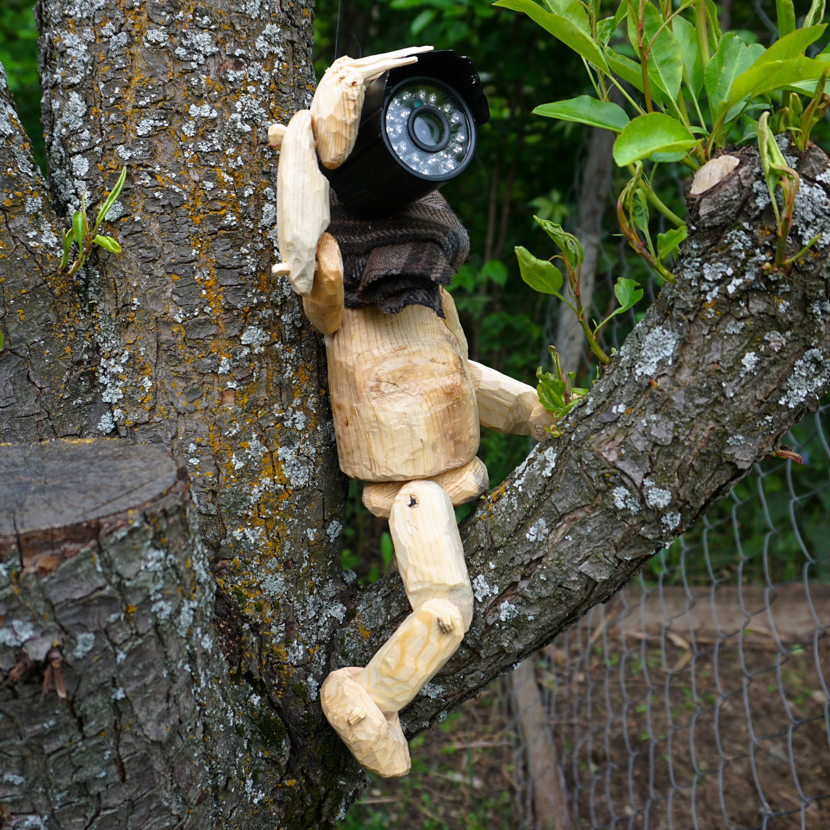Камероголовый