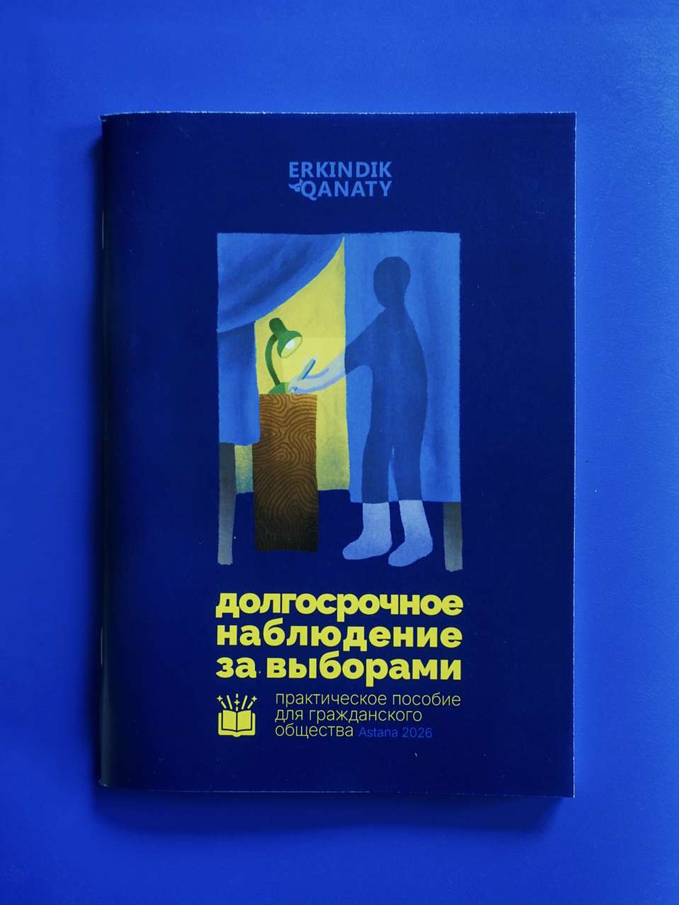 Пособие по долгосрочному наблюдению за выборами